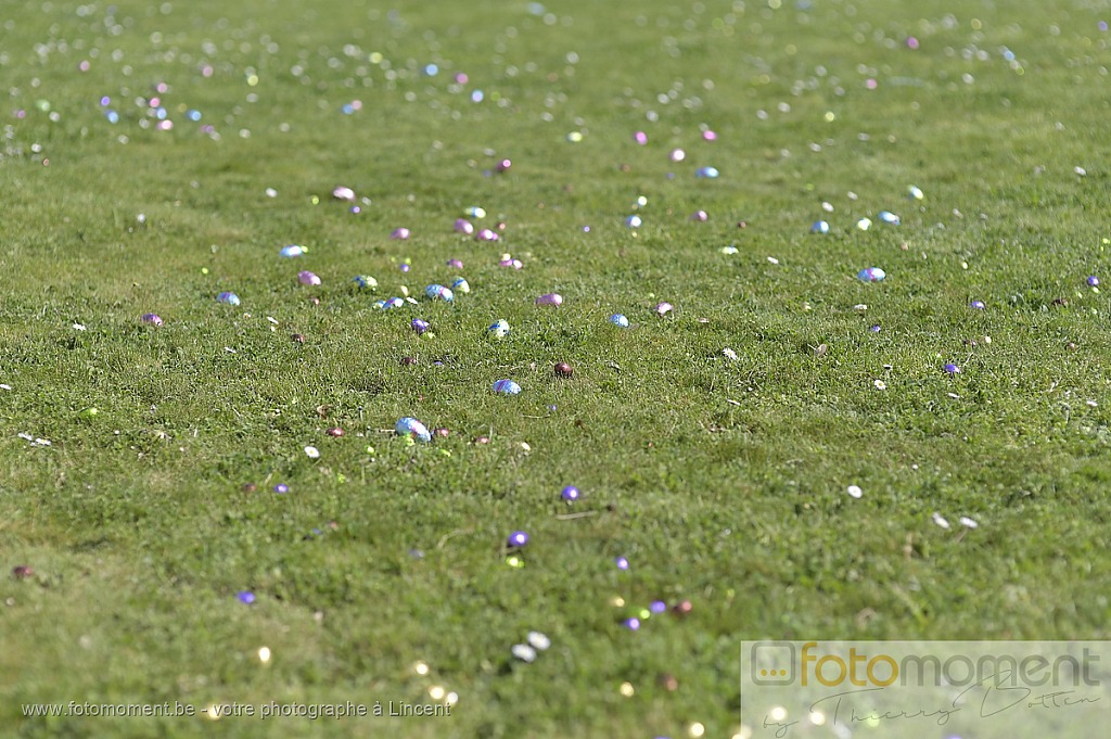 Chasse aux Oeufs Lincent